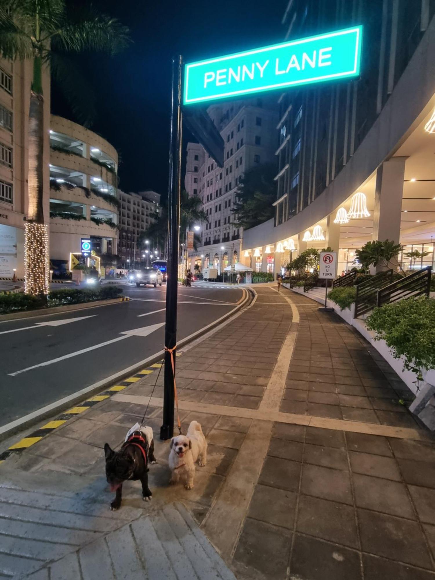 Palm Tree Condos Near Mnl Airport Terminal 3 By Elr Manila Ngoại thất bức ảnh